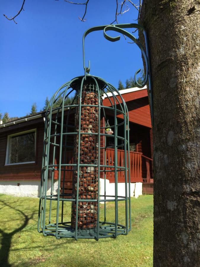 Stravaigin Lodge Данун Экстерьер фото